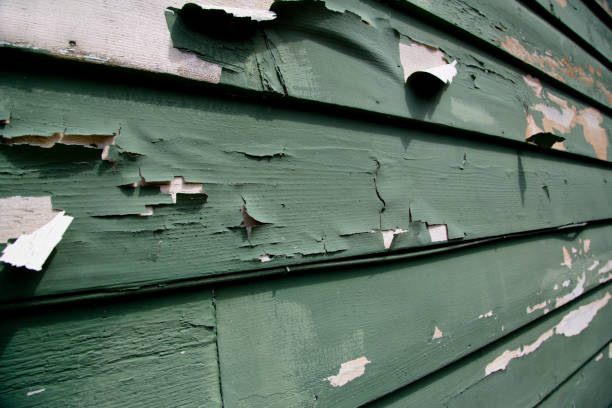 Best Storm Damage Siding Repair  in Ypsilanti, MI